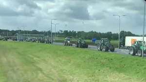 Trekkers in een weiland