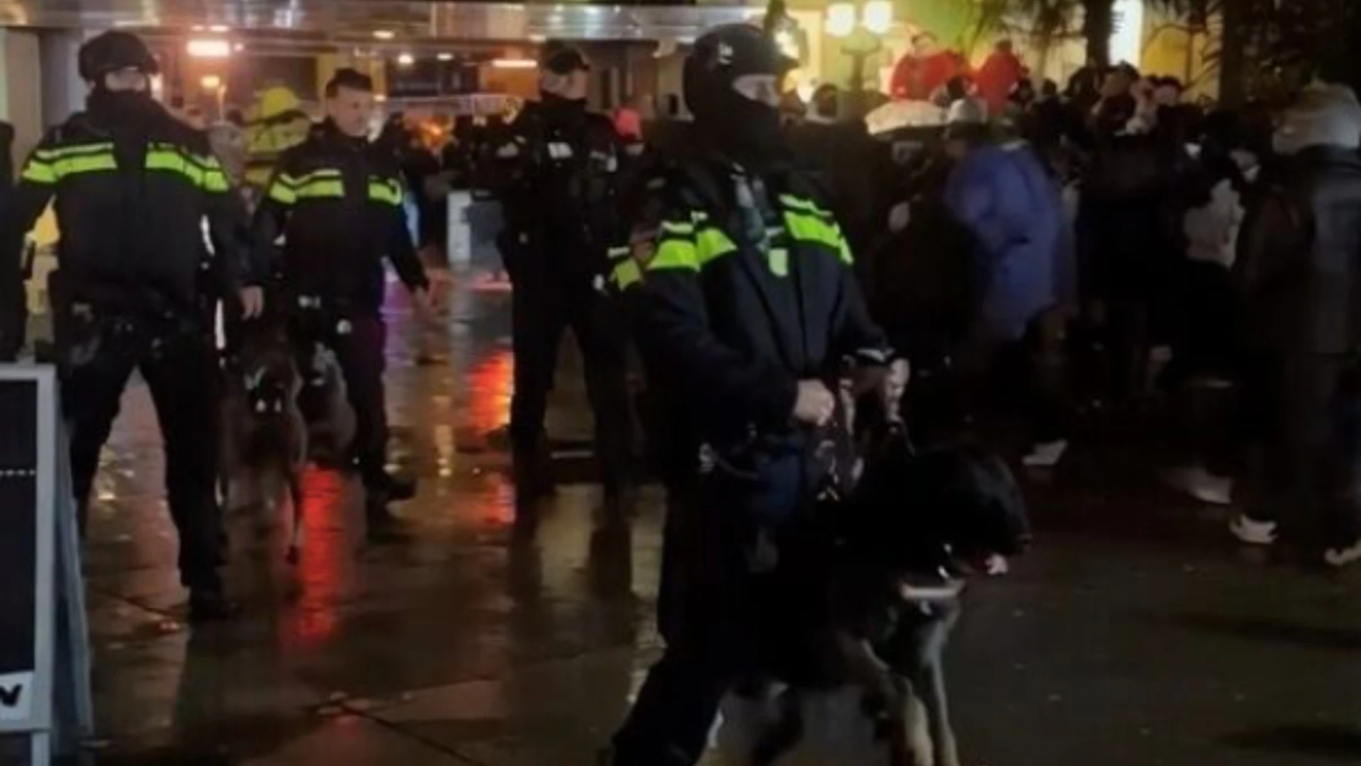 Nieuwe beelden rellen Walibi opgedoken: ‘ME zet honden in tegen tuig’
